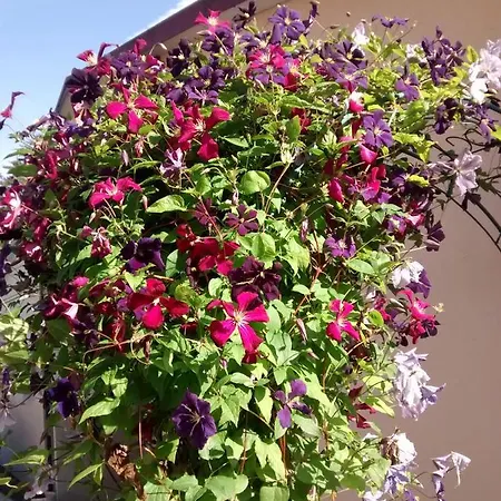 Gaestehaus Brunnerhof -